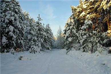《辐射避难所》团队发布手游《上古卷轴：城堡》
